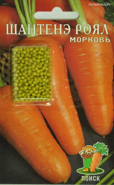 Морковь (Драже) Шантенэ Роял (А) 300, Поиск