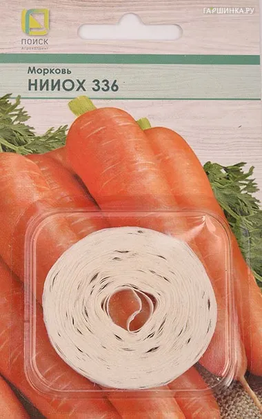 Морковь (Лента) НИИОХ 336 8, Поиск