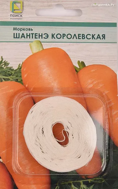 Морковь (Лента) Шантенэ Королевская 8, Поиск