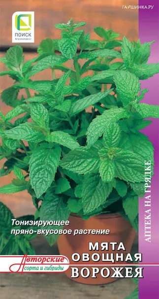 Мята Ворожея (А) овощная 0,1, Семена Поиск