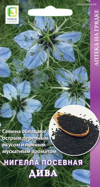 Нигелла Посевная Дива 25, Поиск