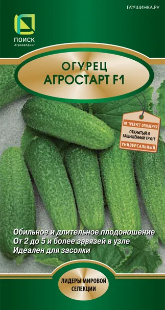 Огурец Агростарт F1 (А) 12, Поиск