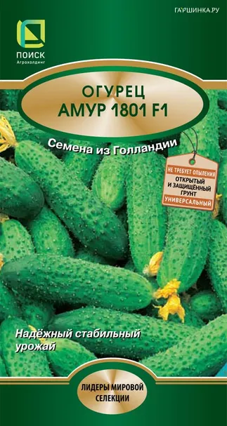 Огурец Амур 1801F1 10, Поиск