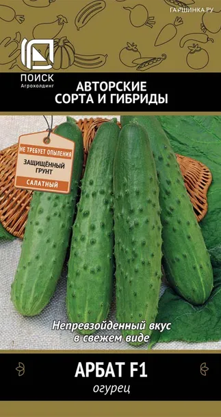 Огурец Арбат F1 (А) 12, Поиск