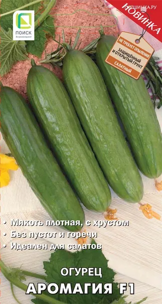 Огурец Аромагия F1 (А) 12, Поиск