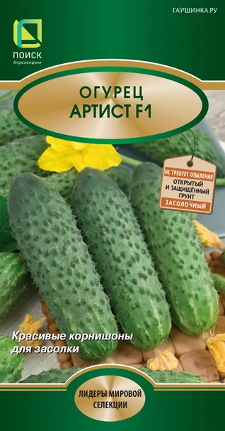 Огурец Артист F1 10, Поиск