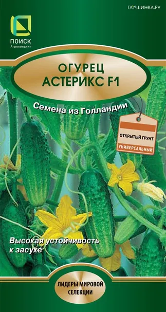 Огурец Астерикс F1 10, Поиск