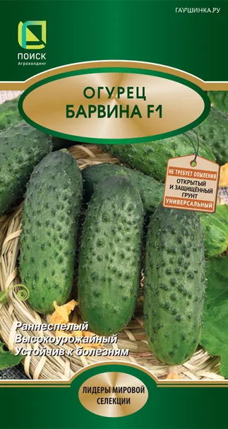 Огурец Барвина F1 5, Поиск