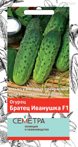 Огурец Братец Иванушка F1 (А) 0,5, Поиск
