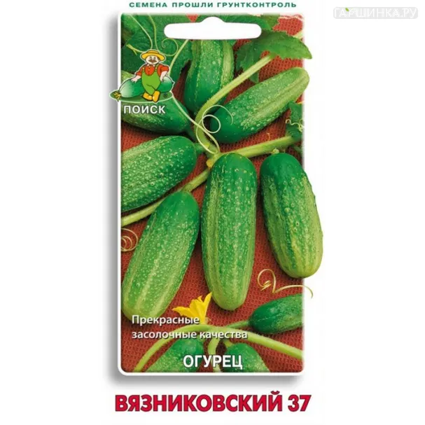 Огурец Вязниковский 37 0,5, Поиск