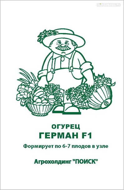 Огурец Герман F1 10, Поиск