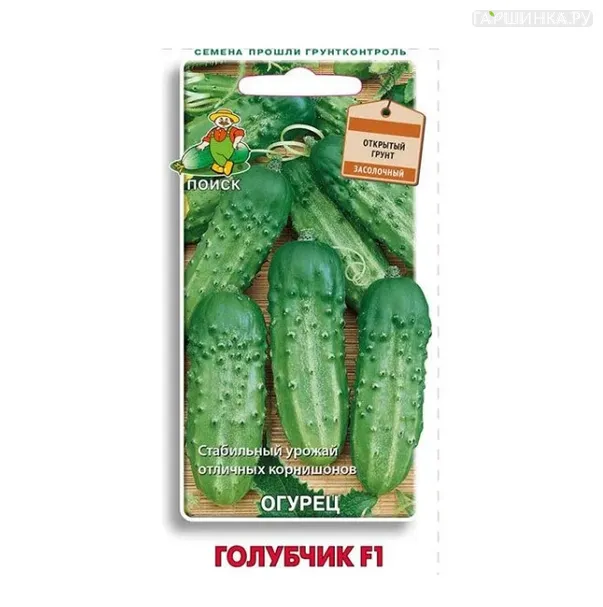 Огурец Голубчик F1 0,5, Поиск