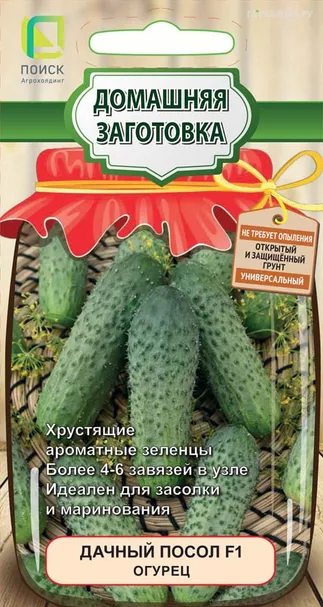 Огурец Дачный Посол F1  12 шт, Семена Поиск