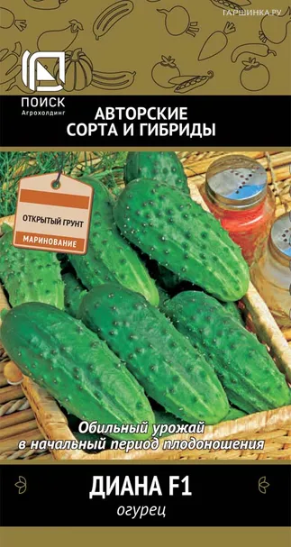 Огурец Диана F1 (А) 12, Семена Поиск