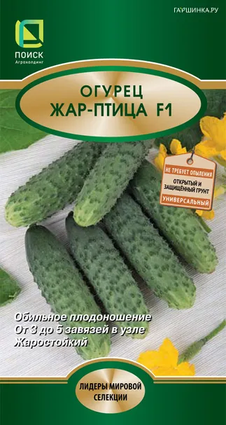 Огурец Жар-птица F1 (А) 12, Поиск