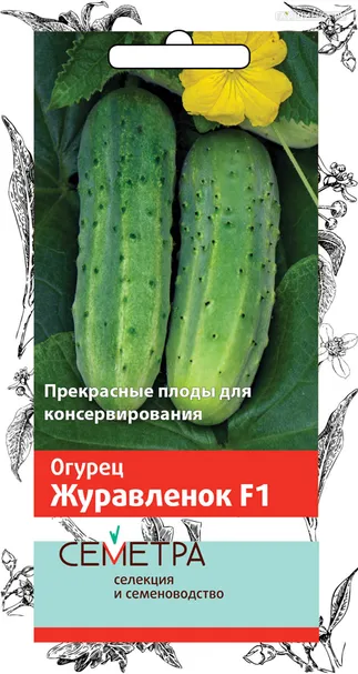 Огурец Журавленок F1 0,5, Поиск