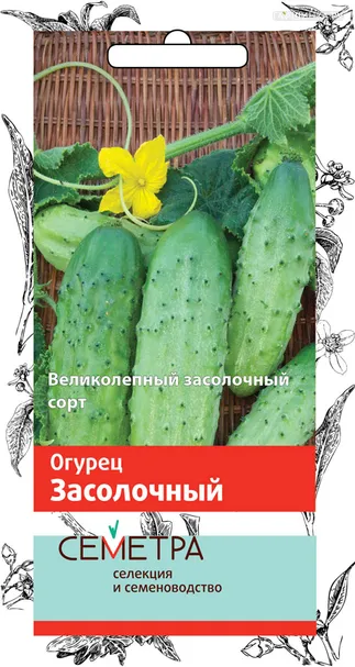 Огурец Засолочный 0,5, Поиск