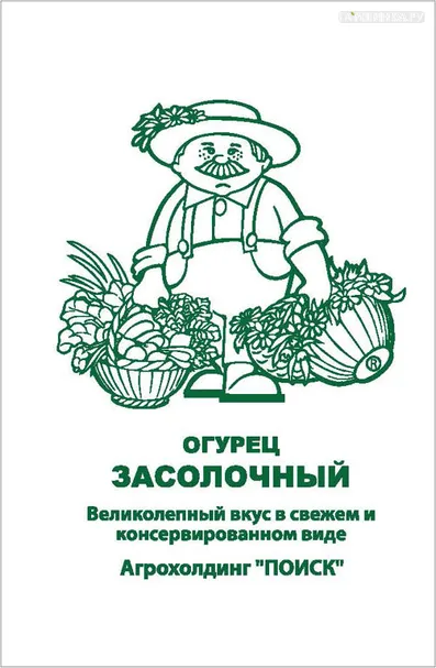 Огурец Засолочный 0,5, Поиск