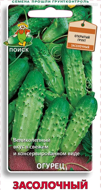 Огурец Засолочный 15, Поиск