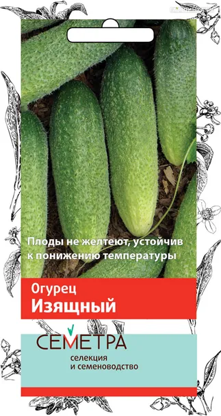 Огурец Изящный 0,5, Поиск