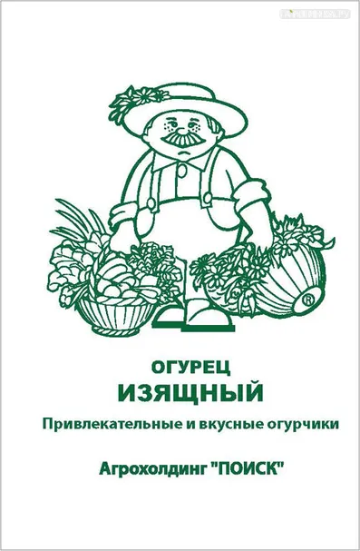 Огурец Изящный 0,5, Поиск