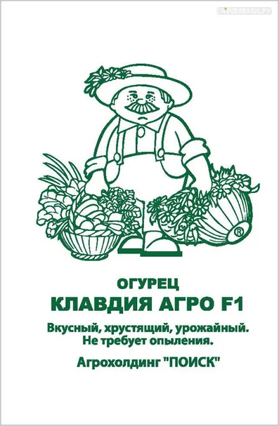 Огурец Клавдия Агро F1 10, Поиск