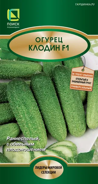 Огурец Клодин F1 10, Поиск