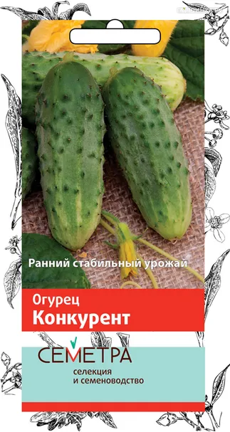 Огурец Конкурент 0,5, Поиск