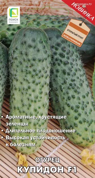 Огурец Купидон F1 (А) 12, Поиск