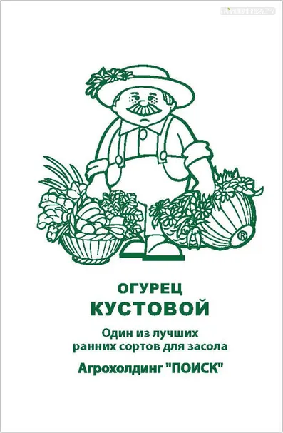 Огурец Кустовой 0,5, Поиск