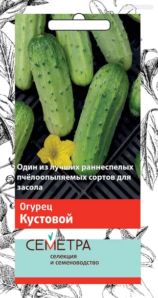 Огурец Кустовой (А) 0,5, Поиск