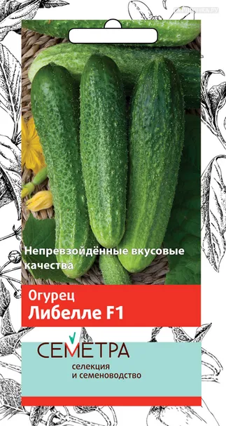 Огурец Либелле F1 0,5, Поиск
