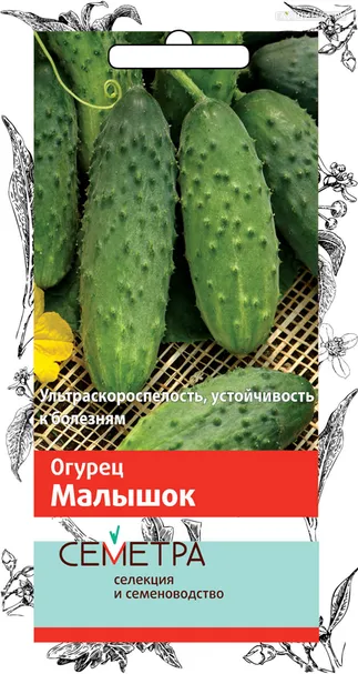 Огурец Малышок (А) 0,5, Поиск