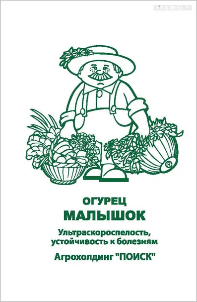 Огурец Малышок 0,5, Поиск