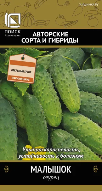 Огурец Малышок (А) 15, Поиск