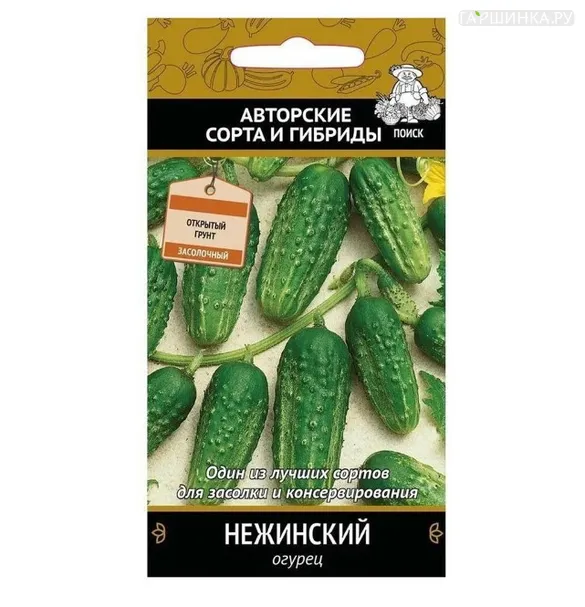 Огурец Нежинский (А) 0,5, Поиск