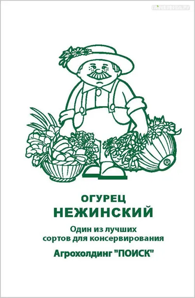 Огурец Нежинский 0,5, Поиск