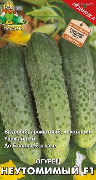 Огурец Неутомимый F1 (А) 12, Поиск