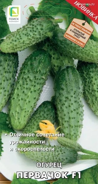 Огурец Первачок F1 (А) 12, Поиск