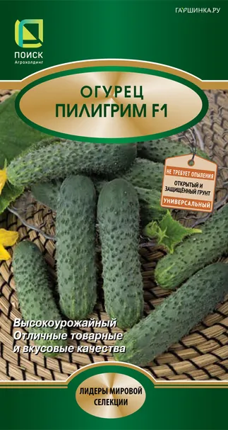 Огурец Пилигрим F1 (А) 12, Поиск