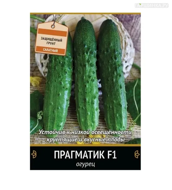 Огурец Прагматик F1 (А) 12, Поиск