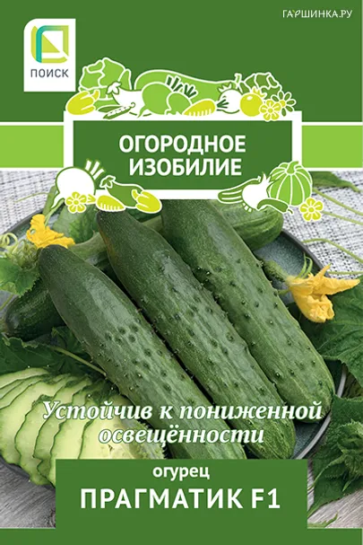 Огурец Прагматик F1 0.3гр, Поиск