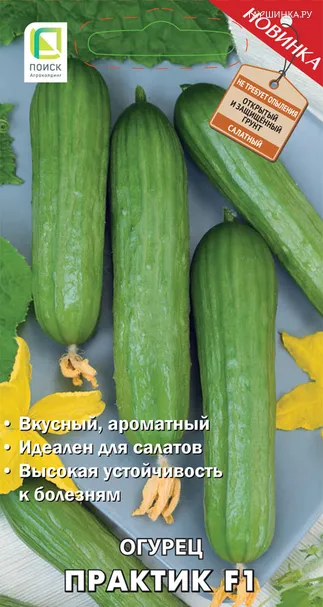 Огурец Практик F1 (А) 12, Поиск