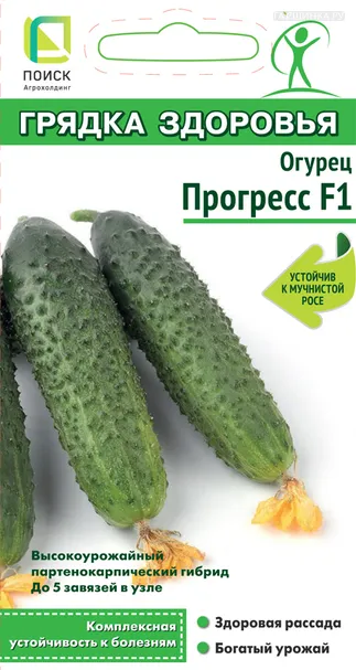 Огурец Прогресс F1 (А) 12, Поиск