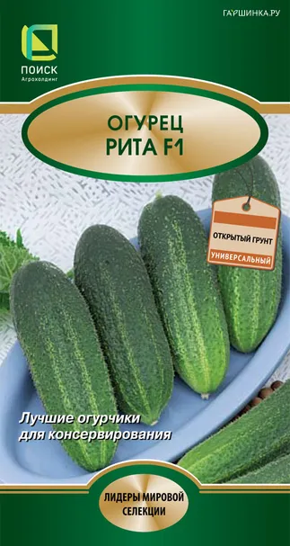 Огурец Рита F1 12, Поиск