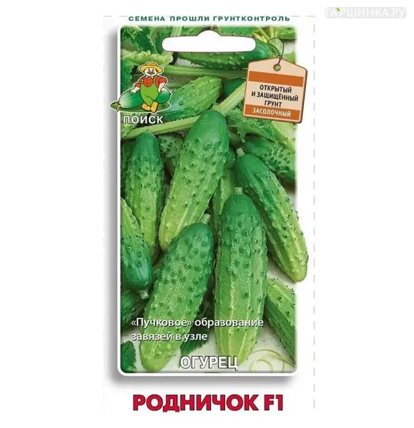 Огурец Родничок F1  0,5 г, Семена Поиск