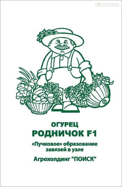 Огурец Родничок F1 0,5, Поиск