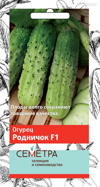 Огурец Родничок F1 12, Поиск