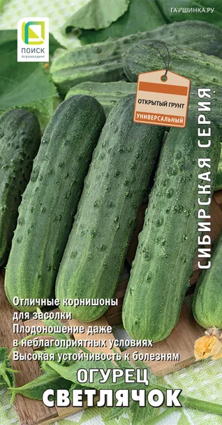Огурец Светлячок 15, Поиск
