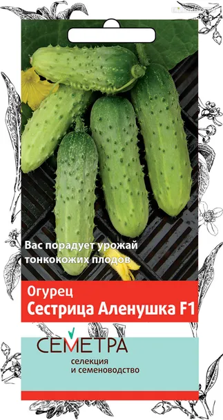 Огурец Сестрица Аленушка F1 (А) 0,5, Поиск